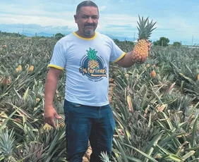 Imagem ilustrativa da imagem Marataízes: inovação na terra do abacaxi “doce como mel”