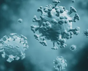 Imagem ilustrativa da imagem Ministério da Saúde confirma quatro casos da gripe K no Brasil; veja os sintomas