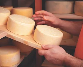 Imagem ilustrativa da imagem Nomes de queijos vão mudar em meio a acordo entre Mercosul e União Europeia