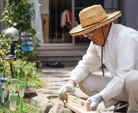 Imagem ilustrativa da imagem Número de idosos que trabalham chega a 181 mil no Estado, diz IBGE