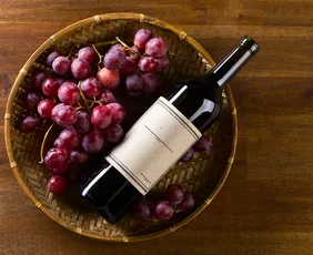 Imagem ilustrativa da imagem Onde o tempo aprende a virar vinho