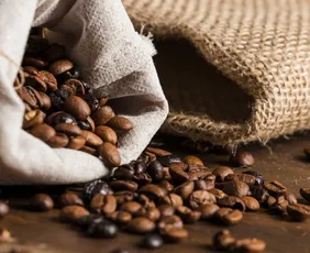 Imagem ilustrativa da imagem Parceria vai utilizar gás no lugar de lenha para a secagem do café