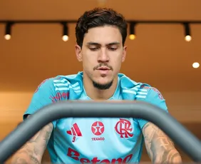 Imagem ilustrativa da imagem Pedro antecipa o retorno das férias e se apresenta