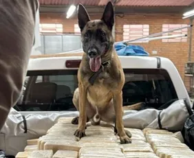 Imagem ilustrativa da imagem Polícia Federal encontra bunker com 613 kg de cocaína em empresa de fachada em SC