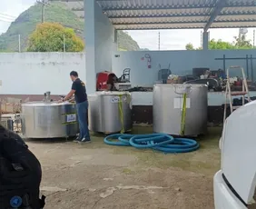 Imagem ilustrativa da imagem Polícia descarta 400 litros de leite e interdita estabelecimento clandestino