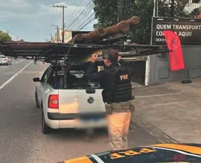 Imagem ilustrativa da imagem Polícia explica o limite de cargas em viagens