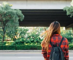 Imagem ilustrativa da imagem Prouni: inscrições para estudar com bolsa em faculdade
