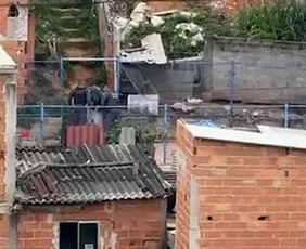 Imagem ilustrativa da imagem Quatro homens morrem após entrarem em confronto com a PM em Vila Velha