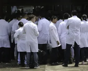 Imagem ilustrativa da imagem Resultados do Enamed e do Revalida serão divulgados na próxima semana