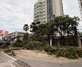 Imagem ilustrativa da imagem Tempestade derruba árvore e deixa moradores sem energia elétrica na Praia da Costa