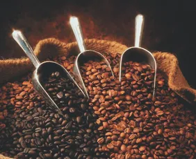 Imagem ilustrativa da imagem Trump afirma que vai reduzir tarifa do café