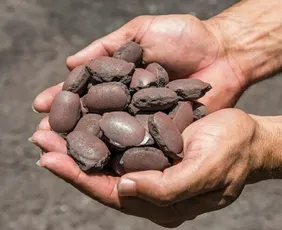 Imagem ilustrativa da imagem Vale busca parceiros para novo complexo industrial