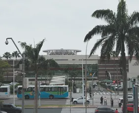 Imagem ilustrativa da imagem Veja o que funciona e o que não funciona neste sábado, dia 15 de novembro