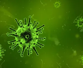 Imagem ilustrativa da imagem Vírus Nipah: como é transmitido? Pode chegar ao Brasil? Quais os sintomas?