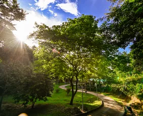 Imagem ilustrativa da imagem Vitória mais verde e com meio ambiente preservado