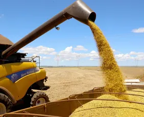 Imagem ilustrativa da imagem A Guerra e o Agro