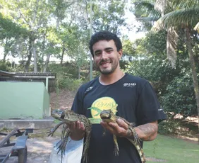 Imagem ilustrativa da imagem A cada 3 dias, um jacaré é resgatado na Grande Vitória