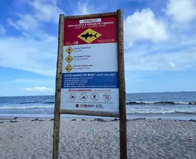 Imagem ilustrativa da imagem Adolescente de 13 anos morre após ser mordido por tubarão em praia de Pernambuco