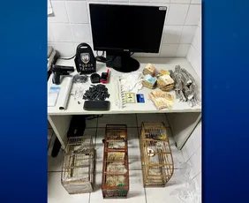 Imagem ilustrativa da imagem Advogada e outros dois suspeitos são detidos em ação contra tráfico na Serra