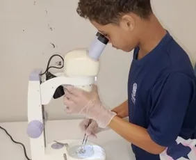 Imagem ilustrativa da imagem Aluno capixaba é finalista de prêmio internacional com projeto de bioplástico