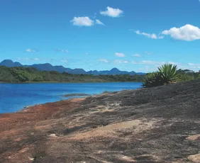 Imagem ilustrativa da imagem Ampliação do Parque Paulo César Vinha pode criar corredor ecológico
