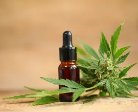 Imagem ilustrativa da imagem Anvisa publica regras para cultivo de Cannabis medicinal, com início em agosto