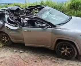 Imagem ilustrativa da imagem Árvore cai sobre carro e mata criança de 1 ano em MG