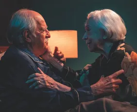 Imagem ilustrativa da imagem Astros da TV vivem casal de assaltantes