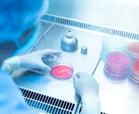 Imagem ilustrativa da imagem Bactéria resistente se espalha fora de hospitais e desafia protocolos médicos