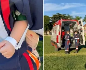 Imagem ilustrativa da imagem Bebê é hospitalizado em estado grave após ser picado por escorpião no ES