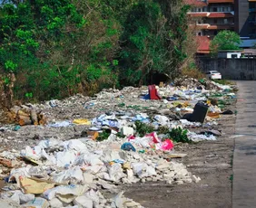 Imagem ilustrativa da imagem Câmara aprova multa para quem descartar lixo em vias públicas