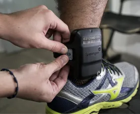 Imagem ilustrativa da imagem Câmara aprova uso obrigatório de tornozeleira para agressores de mulheres