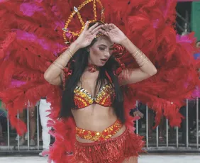 Imagem ilustrativa da imagem Campeã do carnaval capixaba será conhecida hoje