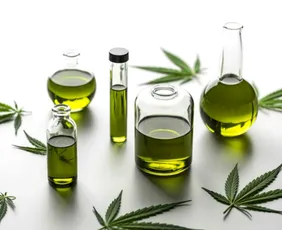 Imagem ilustrativa da imagem Canabidiol mostra potencial para reverter danos do Alzheimer em estudo experimental