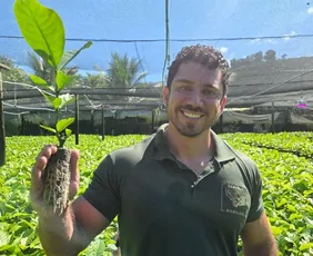 Imagem ilustrativa da imagem Células de papel biodegradável é aposta para melhorar produção de mudas de café