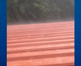 Imagem ilustrativa da imagem Chuva forte com granizo derruba árvores e provoca transtornos em cidades do ES