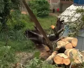 Imagem ilustrativa da imagem Chuvas deixam oito famílias desalojadas e causam 52 ocorrências em Paulista