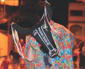 Imagem ilustrativa da imagem Conheça quatro atrativos de Itarana, no Noroeste do ES