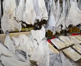 Imagem ilustrativa da imagem Consumidor deve ficar atento à qualidade do bacalhau na Semana Santa