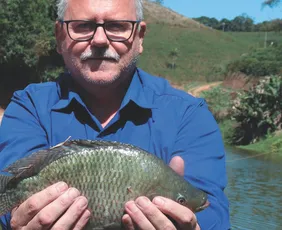 Imagem ilustrativa da imagem Cooperativa investe R$ 12 milhões para ampliar produção de tilápia