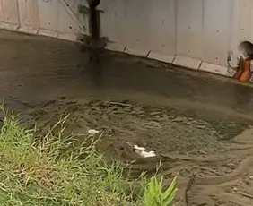 Imagem ilustrativa da imagem Corpo esquartejado de mulher é encontrado em mala na zona sul de São Paulo