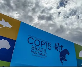 Imagem ilustrativa da imagem Cúpula de líderes orienta debates para COP15 em Mato Grosso do Sul