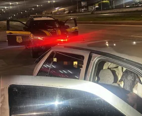 Imagem ilustrativa da imagem Dezoito bodes são empilhados em carro na BR-104; sete morrem sufocados