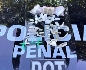 Imagem ilustrativa da imagem Drogas são encontradas durante treinamento da Polícia Penal em Vila Velha