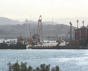 Imagem ilustrativa da imagem Empresa vai à Justiça e fica livre de imposto