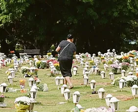 Imagem ilustrativa da imagem Entenda a lei que autoriza enterro de pets em túmulos de famílias na Serra