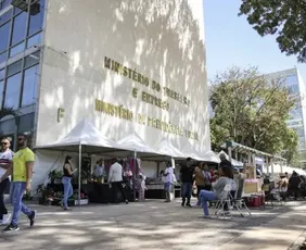 Imagem ilustrativa da imagem Entenda como empresas são incluídas na lista suja do trabalho escravo