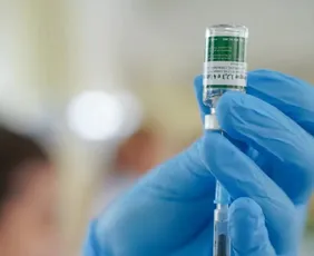 Imagem ilustrativa da imagem Equipes do SUS começam a receber vacina do Butantan contra a dengue