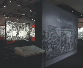 Imagem ilustrativa da imagem Exposição “Amazônia”, de Sebastião Salgado, chega a 12 mil visitantes em Vitória