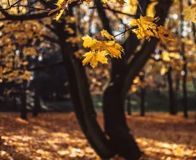 Imagem ilustrativa da imagem Fim do verão: Como vai ser o clima durante o outono no ES?